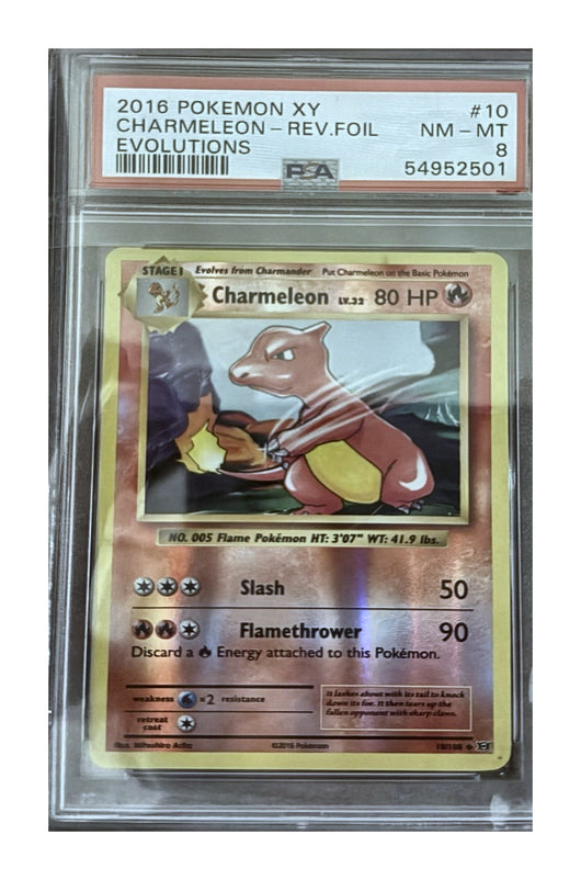 Charmeleon 10/108 from Pokémon TCG XY—Evolutions, graded PSA 8 NM-MT in a PSA slab